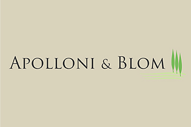 APOLLONI & BLOM SRL