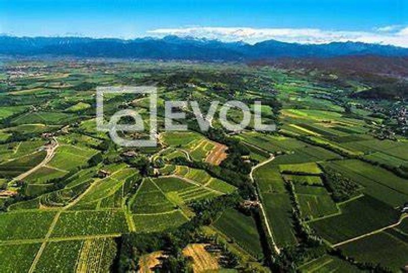 Landwirtschaftlicher Betrieb in Corno di Rosazzo