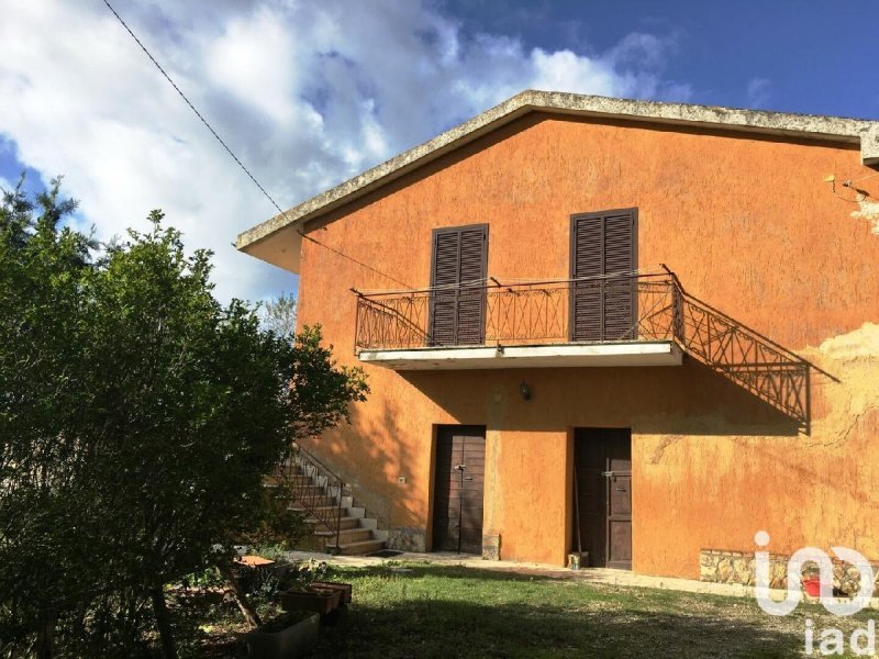 House in Scansano