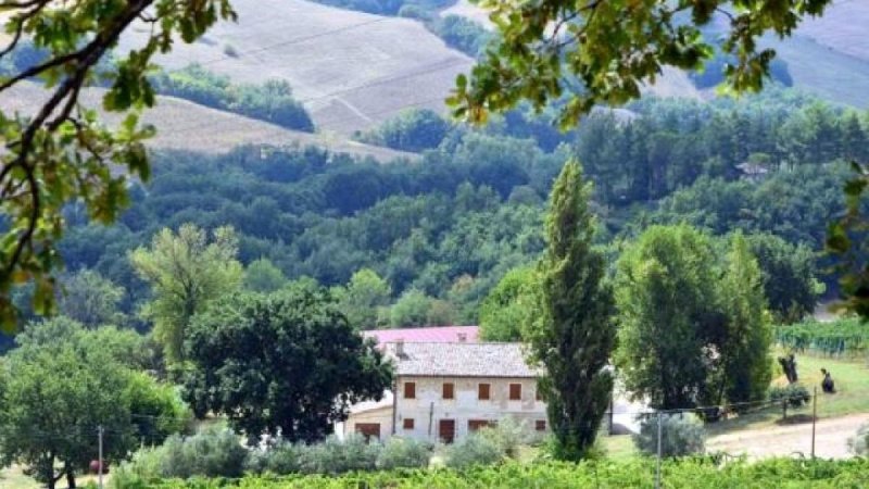 B&B in Arcevia