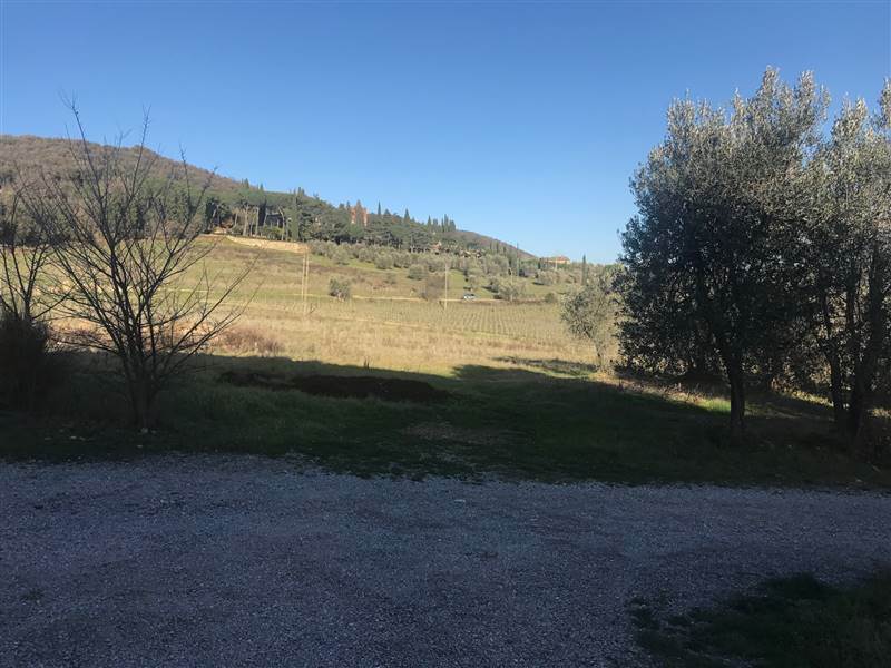 Exploitation agricole à Montalcino