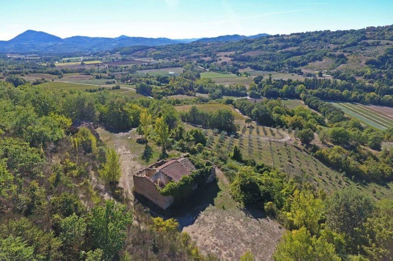 Quinta agrícola em Montone