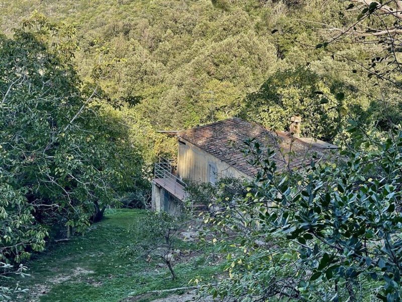 Farmhouse in Marciana