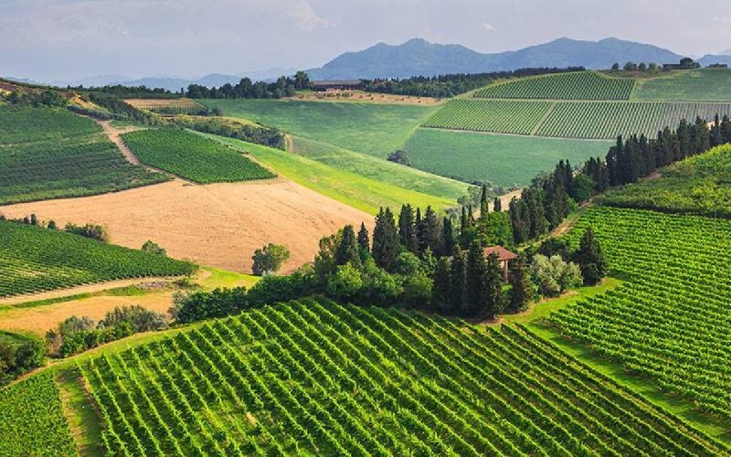 Quinta agrícola em Greve in Chianti