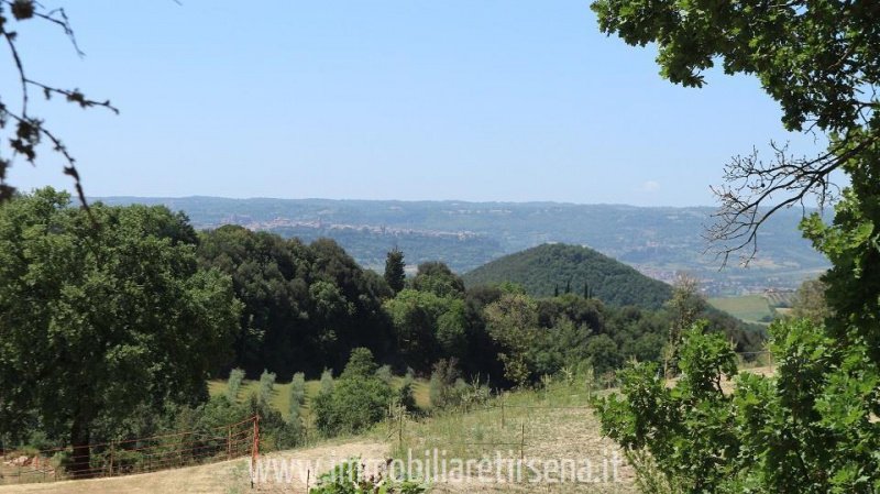 Ferme à Orvieto