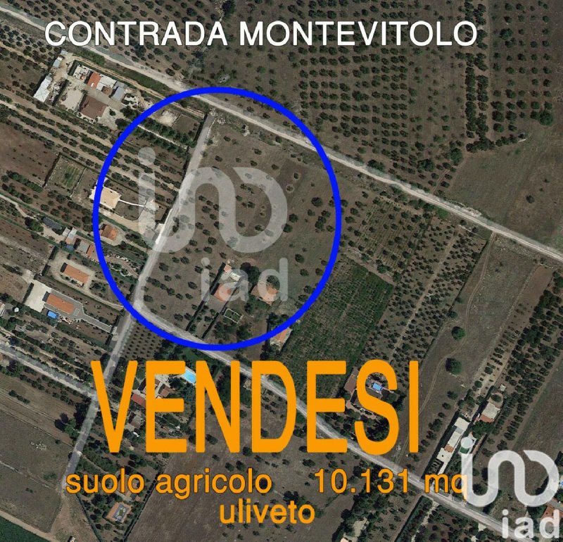 Landwirtschaftliche Fläche in Andria