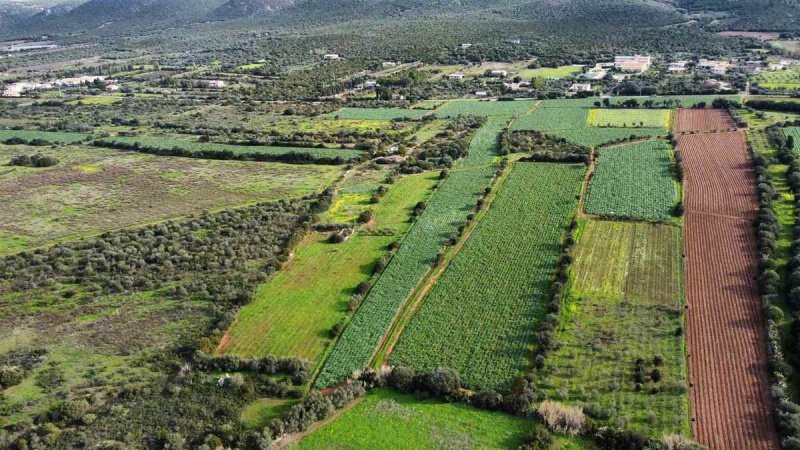 Landwirtschaftliche Fläche in Sant'Anna Arresi