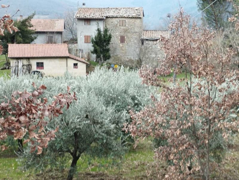 Hus på landet i Cortona