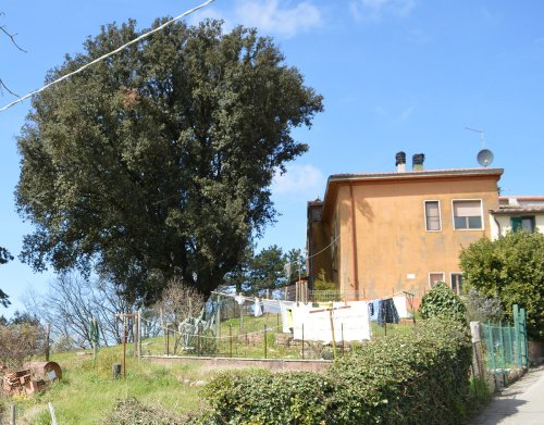 Villa i Scansano
