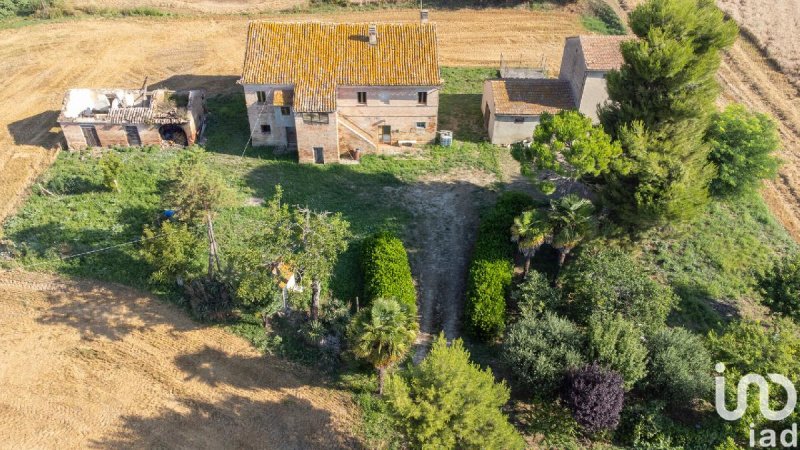 Detached house in Osimo