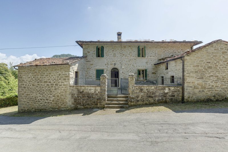 Bauernhaus in Castel San Niccolò