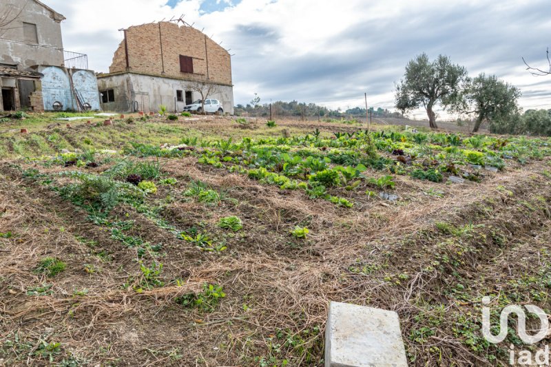 Klein huisje op het platteland in Osimo