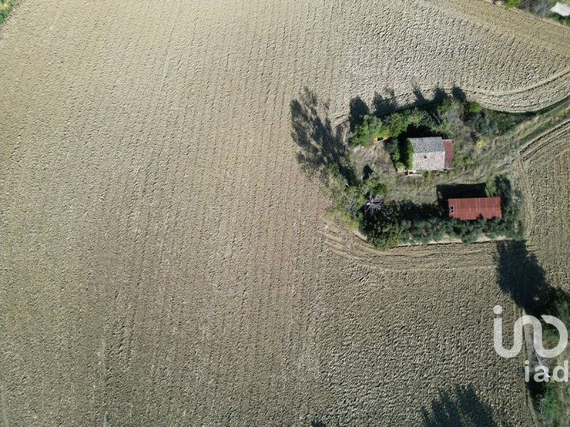 Terreno agrícola em Morrovalle