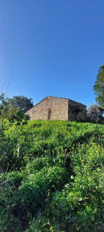 Terrain agricole à Collesano