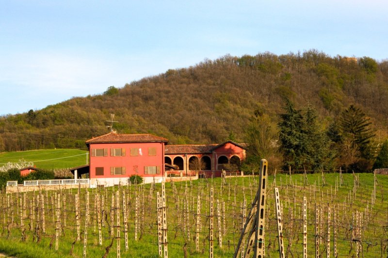 Landwirtschaftlicher Betrieb in Rivanazzano Terme