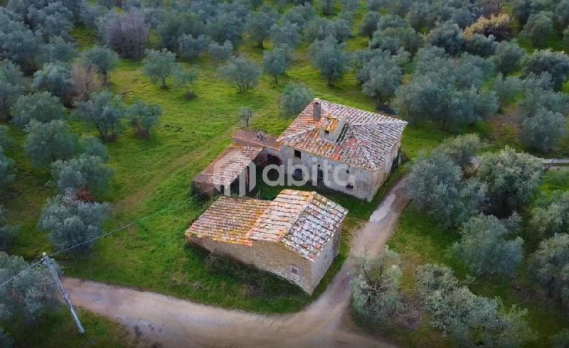 Bauernhaus in Montevarchi