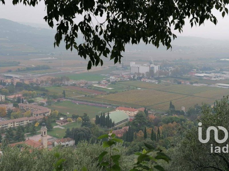 Landbouwgrond in Verona