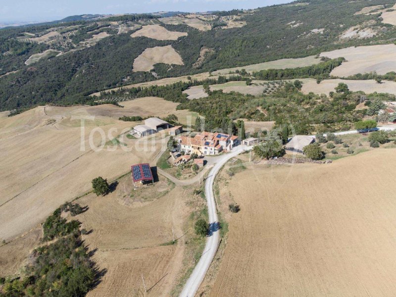 Exploitation agricole à Castiglione d'Orcia