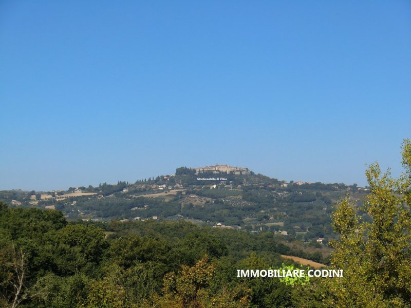 Agricultural land in Todi