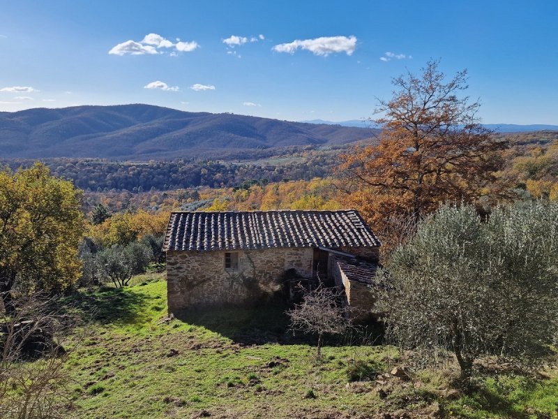 Farmhouse in Monte San Savino