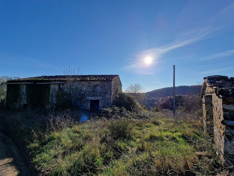 Klein huisje op het platteland in Monteverdi Marittimo