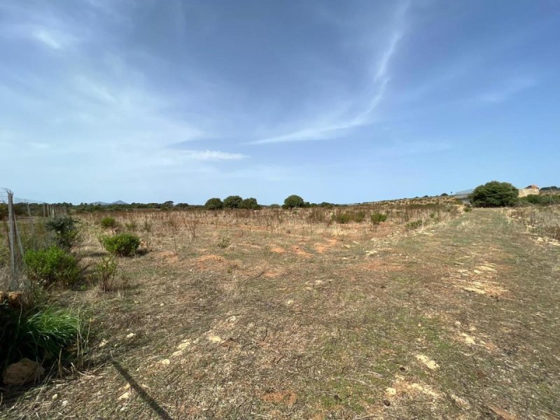 Terreno para construção em Alghero