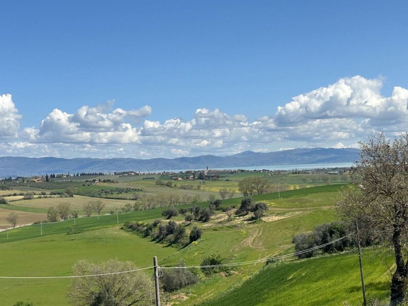 Maison individuelle à Castiglione del Lago