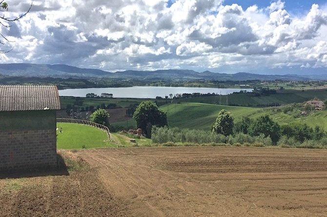 Ferme à Castiglione del Lago