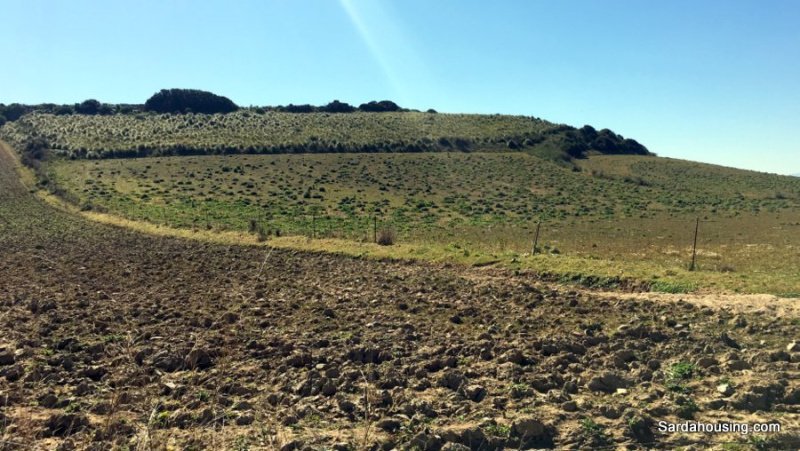 Terreno agrícola en Serdiana