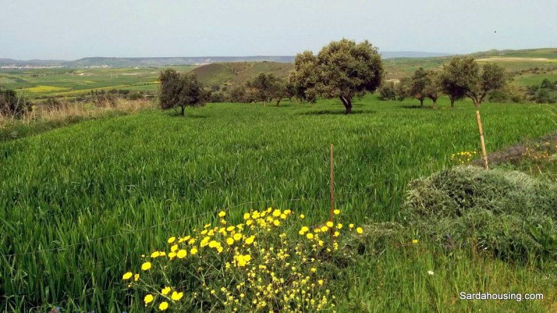 Landbouwgrond in Villanovafranca