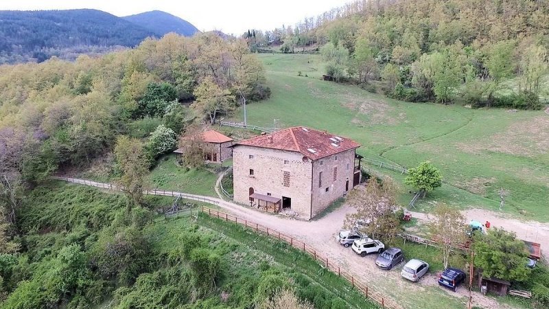 Bauernhaus in Pratovecchio Stia