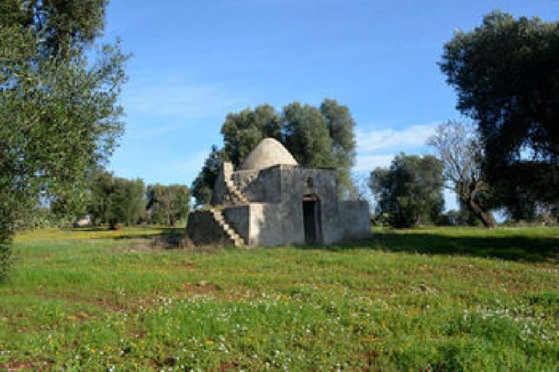 Trullo (Rundhaus) in Carovigno