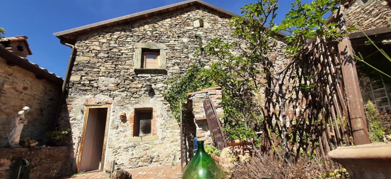 Country house in Fivizzano