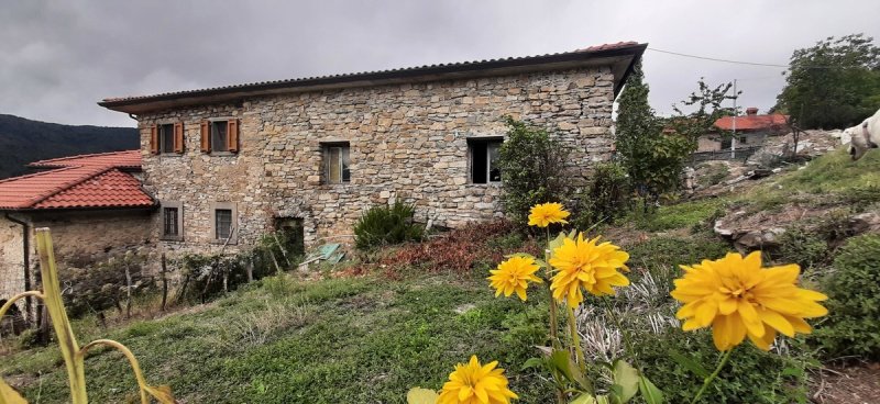 Klein huisje op het platteland in Bagnone