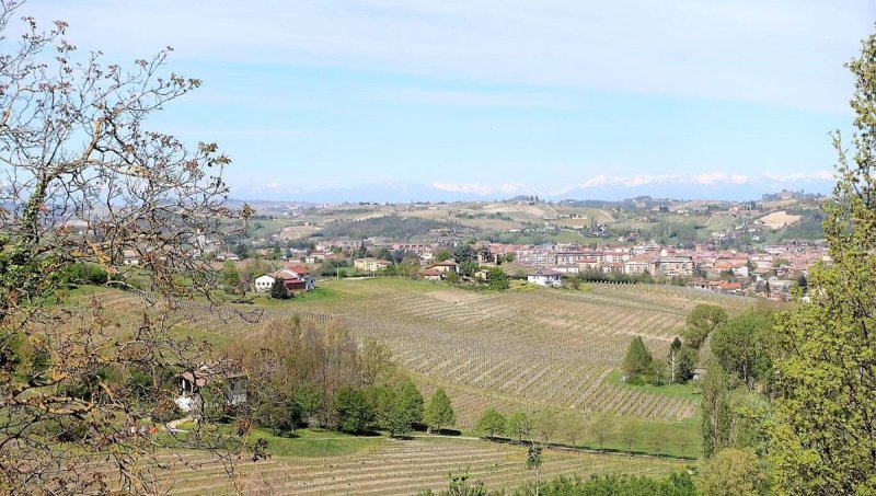 Half-vrijstaande woning in Nizza Monferrato