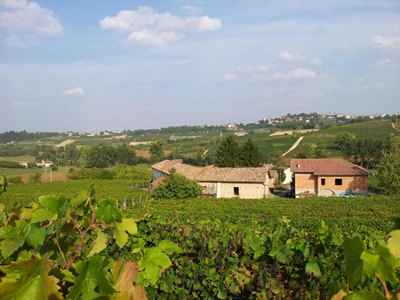 Landwirtschaftlicher Betrieb in Agliano Terme
