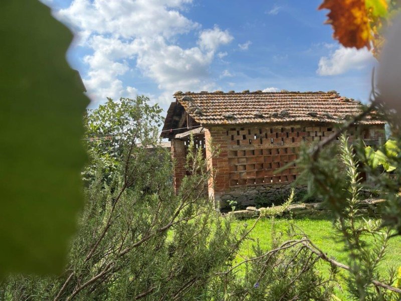 Ciel/Terre à Panicale