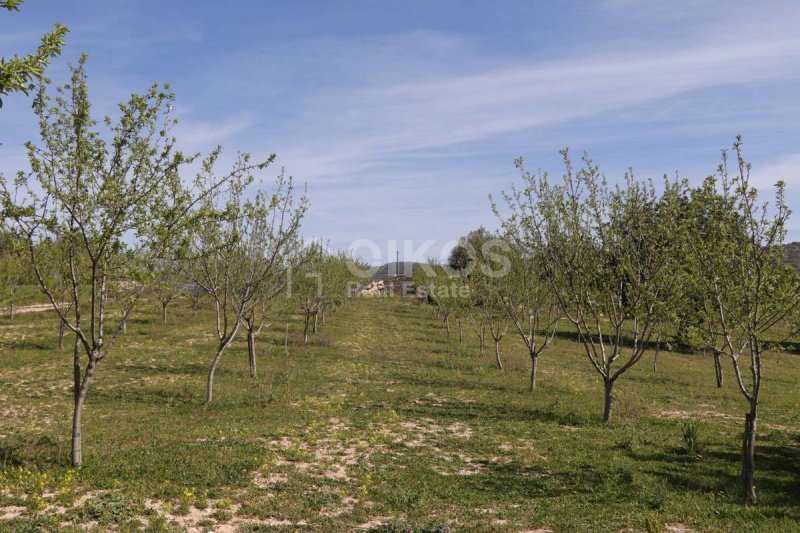 Terrain agricole à Noto
