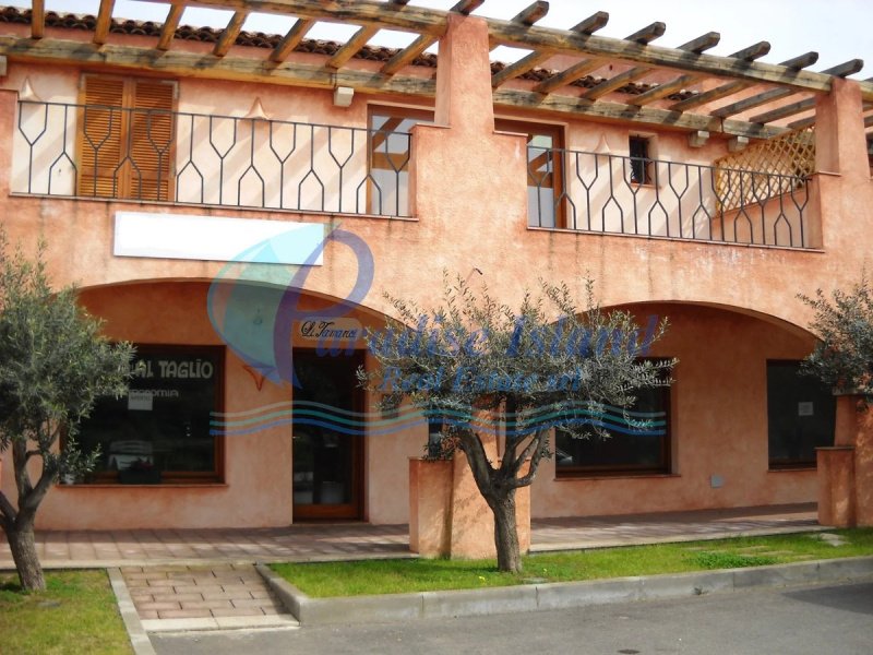 Commercial property in Arzachena
