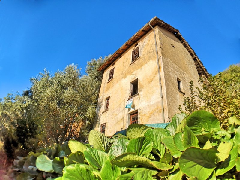 Detached house in San Siro