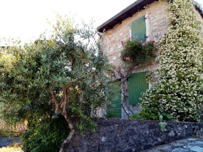 Hus på landet i Castelnuovo di Garfagnana