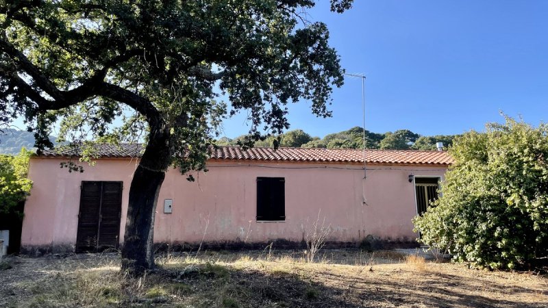 Hus på landet i Luogosanto