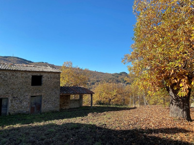 Huis op het platteland in Greve in Chianti