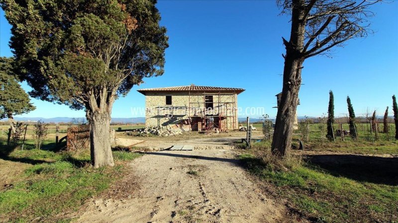 Ferme à Castiglione del Lago