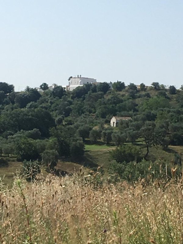 Detached house in Pisticci