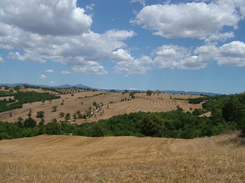 Klein huisje op het platteland in Manciano