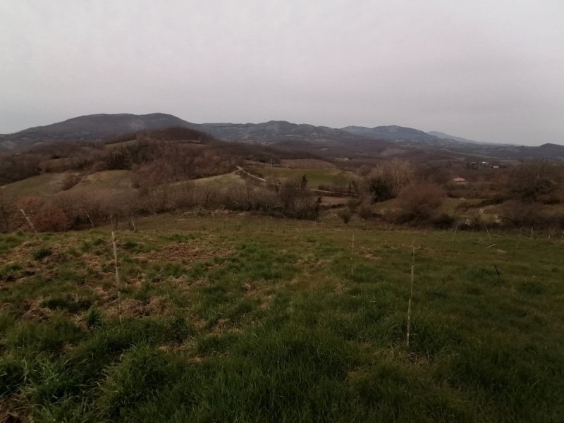 Terrain agricole à Sorano