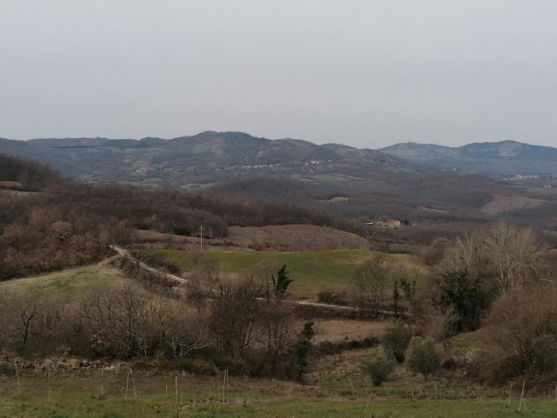 Landbouwgrond in Sorano