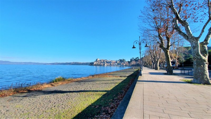 Maison individuelle à Anguillara Sabazia