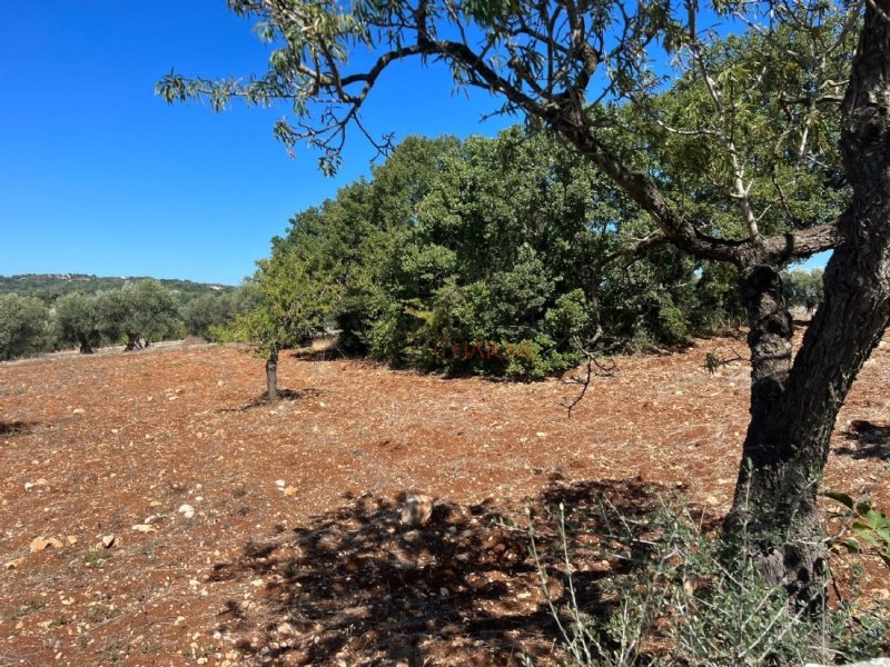 Bouwgrond in Ostuni